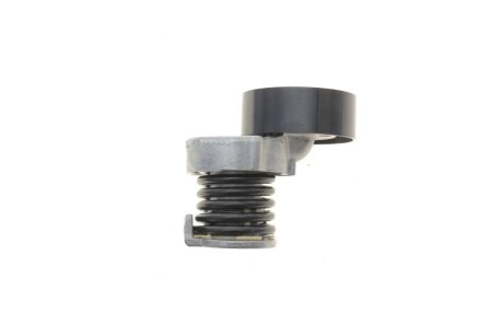 Натяжник ременя генератора dayco APV3013