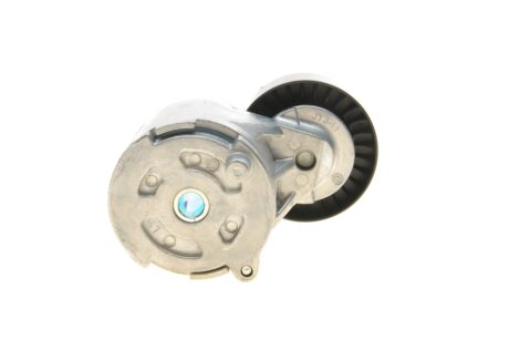 Натяжитель ремня dayco APV3865