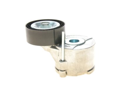 Натяжитель ремня dayco APV3865