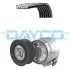 DAYCO OPEL Поликлиновой ременный комплект (ремень+натяж.мех) OMEGA B 2.5 94- dayco KPV745