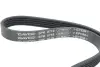 Комплект ременя генератора dayco KPV964