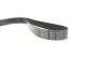 DAYCO ремень поликлиновый Dayco 8PK2490 (фото 4)