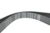 DAYCO RENAULT Ремень поликлиновый (Elastic) DUSTER 1.6 15-, MEGANE IV 1.6 15- dayco 7PK1051EE