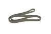 Доріжковий пас dayco 6DPK2217