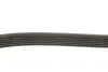 Доріжковий пас dayco 6PK2870