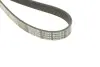 Доріжковий пас dayco 6PK2870