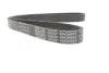 Доріжковий пас dayco 6PK989EE