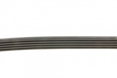 Приводной ремень генератора dayco 5PK725