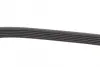 Дорiжковий ремінь dayco 6PK850