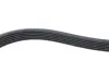 Дорiжковий ремінь dayco 6PK966