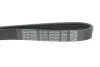 Дорiжковий ремінь dayco 6PK966