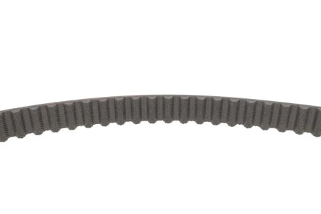 Комплект ременя грм dayco KTB101