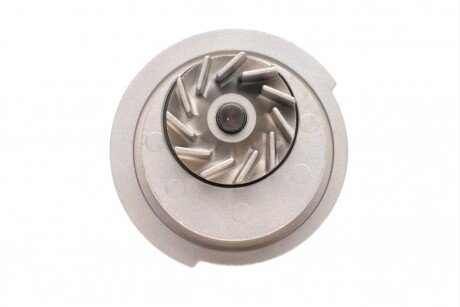 Комплект ремня грм dayco KTBWP2215