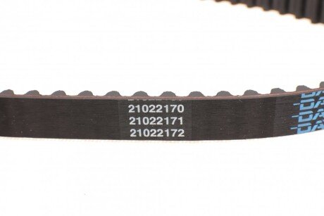 Комплект ремня грм dayco KTBWP2215