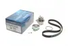 Комплект ременя грм Dayco KTBWP2530