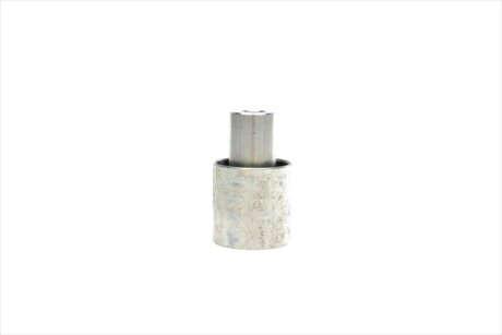 Комплект ремня грм dayco KTBWP3600