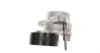 Натяжитель ремня dayco APV3458