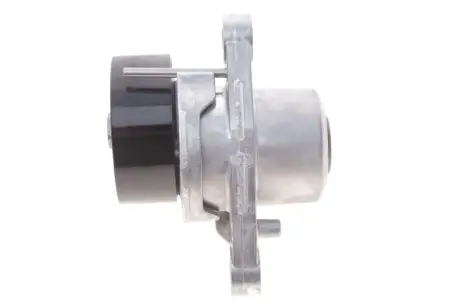 Натяжитель ремня Dayco APV3861