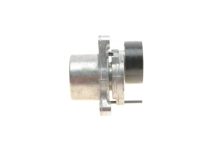 Натяжник ременя генератора dayco APV3239