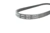 Пасок поліклиновий 4PK836ELAST dayco 4PK836EE