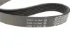 Пасок поліклиновий /913/915 dayco 6PK910