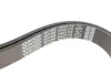 Пасок поліклиновий Ford Transit 2.4Td 00-06// Landrover Discovery 4.0 98-04 Dayco 7PK2711S (фото 2)