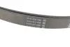 Пасок поліклиновий Ford Transit 2.4Td 00-06// Landrover Discovery 4.0 98-04 Dayco 7PK2711S (фото 3)