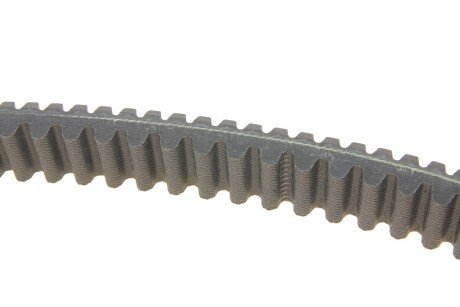 Привідний ремінь генератора dayco XTX2205