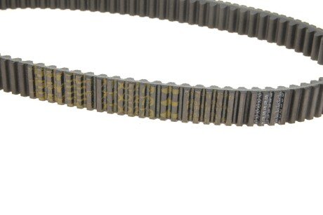 Приводной ремень генератора dayco XTX2279