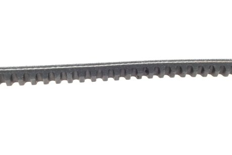 Привідний ремінь генератора dayco 10A0850C