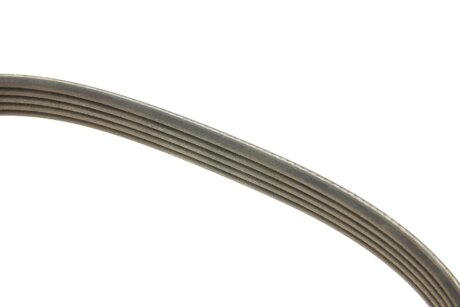 Приводной ремень генератора dayco 5PK1010