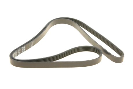 Привідний ремінь генератора dayco 5PK1650