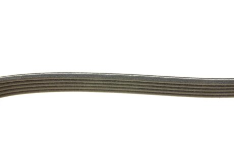 Привідний ремінь генератора dayco 5PK1650