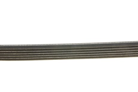 Привідний ремінь генератора dayco 6PK1460