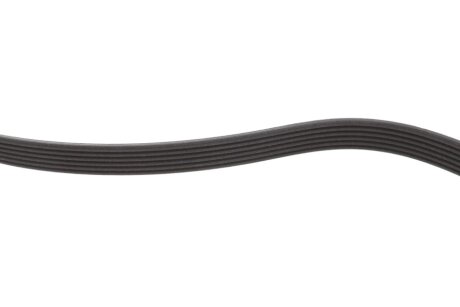 Привідний ремінь генератора dayco 6PK1822K