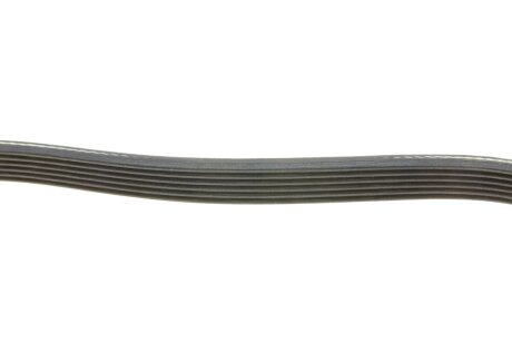 Привідний ремінь генератора dayco 6PK885