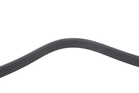 Привідний ремінь генератора dayco 6PK922H