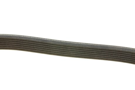 Привідний ремінь генератора dayco 7PK1905