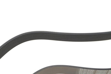 Приводной ремень генератора dayco 8PK1162H