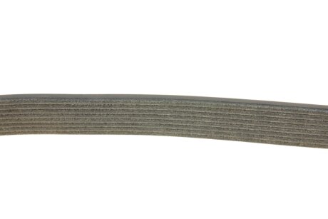 Привідний ремінь генератора dayco 8PK2190