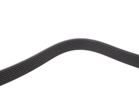 Привідний ремінь генератора dayco 8PK954H