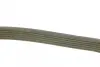 Ремень генератора dayco 6PK1024EE