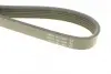 Ремень генератора dayco 6PK1024EE