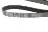 Ремень генератора Dayco 6PK1163 (фото 2)