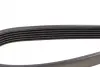Ремень генератора Dayco 6PK1165 (фото 3)