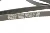Ремень генератора Dayco 6PK2155S (фото 3)