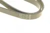 Ремень генератора dayco 6PK902S