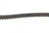 Ремень клиновой (пр-во DAYCO) dayco 13A0925C