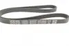 Ремень поликлин. (пр-во DAYCO) Dayco 4PK1022EE (фото 3)