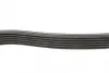 Ремень поликлин. (пр-во DAYCO) dayco 6PK1705